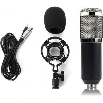 BM 800 Studio Compact