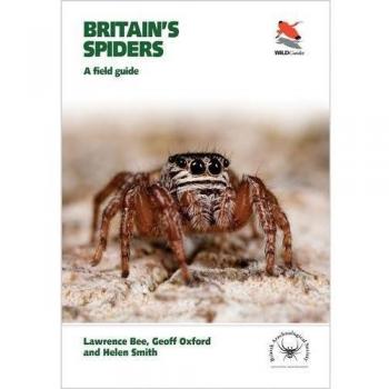 Britains Spiders