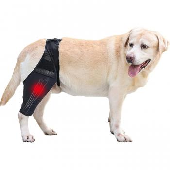Orthèse de patte arrière pour chien
