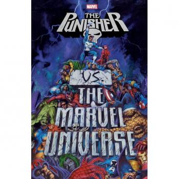 Punisher vs. the Marvel Universe
