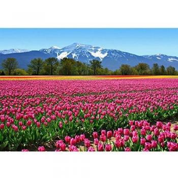 IDEALDECOR Rosafarbene Tulpen Fototapete (Teilmenge) – 366 × 254 cm