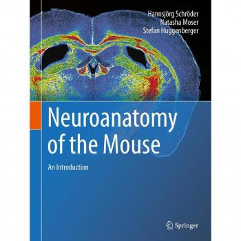 Neuroanatomy of the Mouse