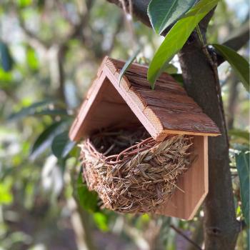 Brown Woven House Martin Nester