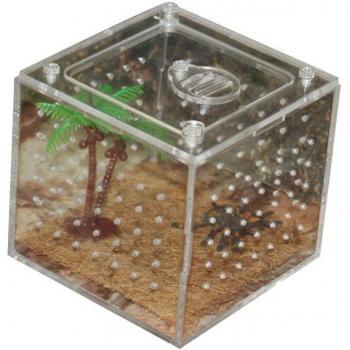 Caja de Alimentación de Reptiles “Acrílico Verde”