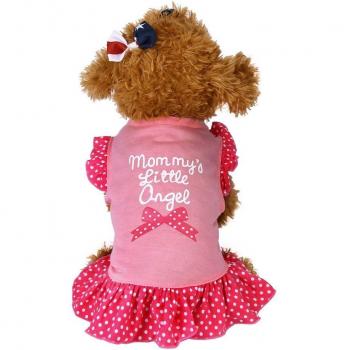 Tenue estivale pour animaux adorables