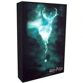 Harry Potter Luminart