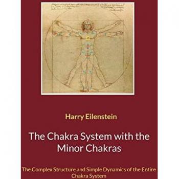 The Chakra System with the Minor Chakras: The Complex Structure and Simple Dynamics of the Entire Chakra System