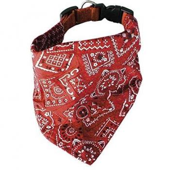 Rancher’s Shawl Jewelry