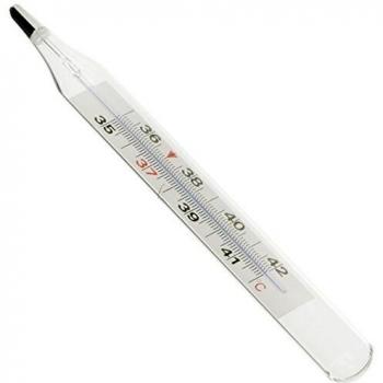 Termometro Ecologico S/HG