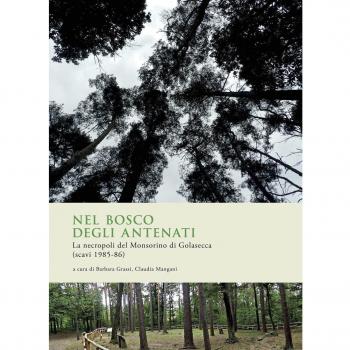Nel bosco degli antenati. La necropoli del Monsorino di Golasecca