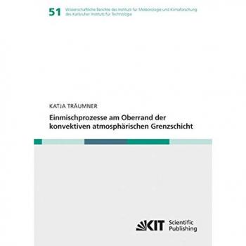 Einmischprozesse am Oberrand der konvektiven atmosphaerischen Grenzschicht