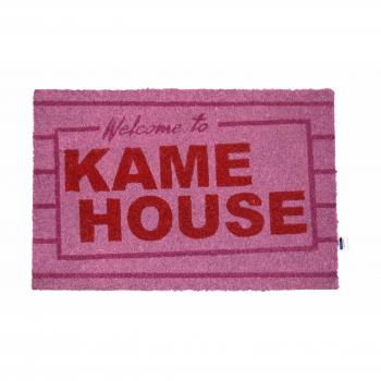 Kame house 60x40 felpudo dragon ball