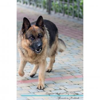 German Shepherd Dog Affirmations Workbook German Shepherd Dog Presents: Positive and Loving Affirmations Workbook. Includes: Mentoring Questions, Guidance, Supporting You.