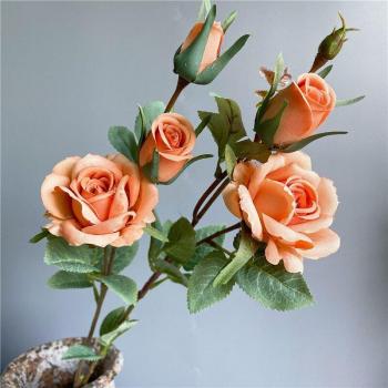 Rosa Brume