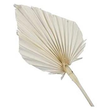 7 Feuilles Artificielles Palmier Beige