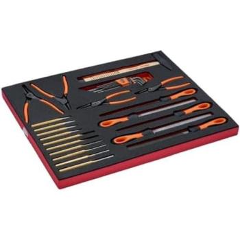 Bahco Collection d’outils de précision – Limes, Pinces & Clé 6 Pans – 30 pièces