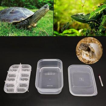 Thermometer Reptile Egg Incubator Tray