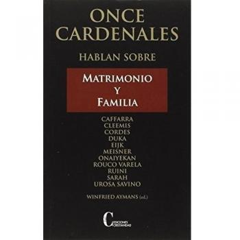 Once cardenales hablan sobre matrimonio y familia