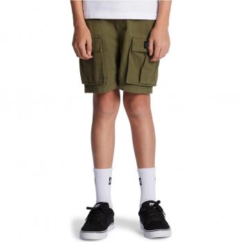 Pantalones Cortos Tundra DC Shoes Verde
