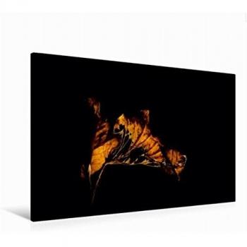 Anke Brehm – Premium Leinwand „Efeu“ 120×80 cm, Querformat