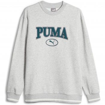 Felpa Squad Puma Grigio Chiaro L