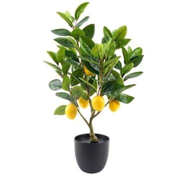 Citronnier XS en PVC pour Intérieur