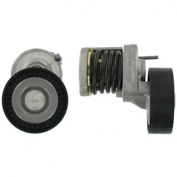 SKF Rullo Tendicinghia VKM 31058