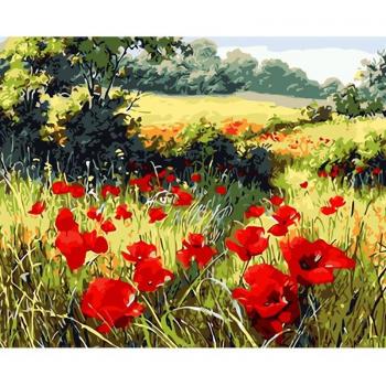 Cuadro de Pintar por Números Amapola 50x65