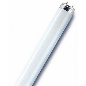 Osram Leuchtstoffröhre EEK: A (A++