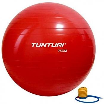 Tunturi Pelota de Fitness 75 cm