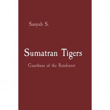 Sumatran Tigers