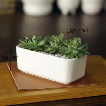 Cement Petal Pot Creator