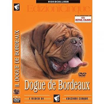Dogue de Bordeaux