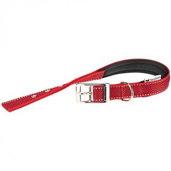 Collier pour Chiens Daytona Deluxe Réfléchissant C25/45