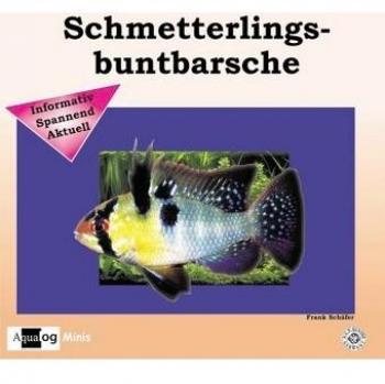 Schmetterlingsbuntbarsche