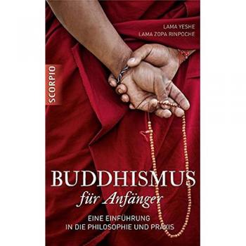 Buddhismus für Anfänger: Eine Einführung in die Philosophie und Praxis