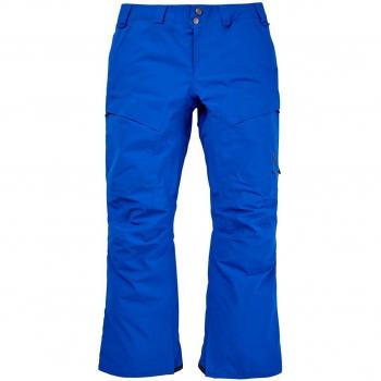 Burton AK Swash GTX Pants