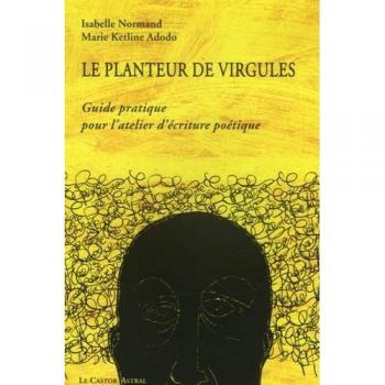 Le Planteur De Virgules