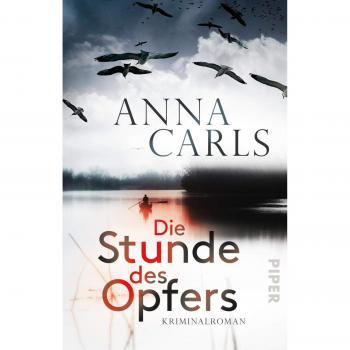 Die Stunde des Opfers: Kriminalroman