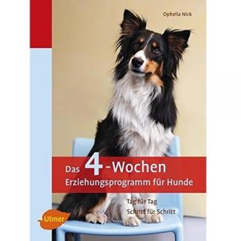 Das 4-Wochen Erziehungsprogramm für Hunde