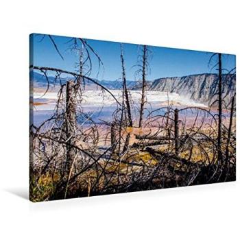 Richard Walliser Druck auf Calvendo Textil-Leinwand 90x60 cm – Toter Wald, Yellowstone