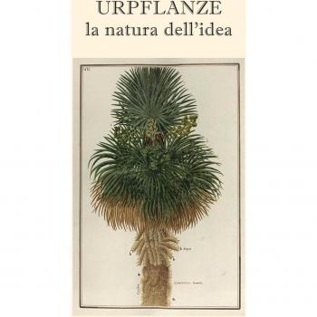 Urpflanze, la natura dell'idea. Ediz. multilingue