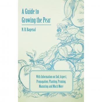 A Guide to Growing the Pear with Information on Soil Aspect Propagation Planting Pruning Manuring and Much More