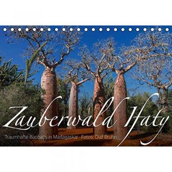 Zauberwald Ifaty · Traumhafte Baobabs in Madagaskar