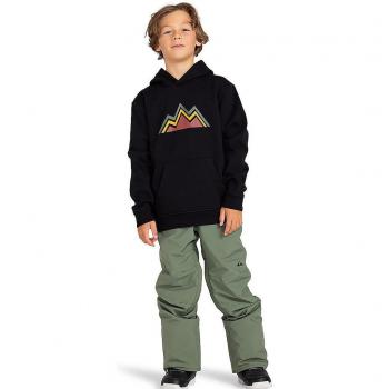 Quiksilver Pantalones de nieve Estate para niños