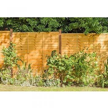 Pressure Treated Fence Panel