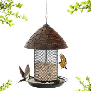 Rivestimento Resina Mangiatoia Uccelli Esterno, Cupola con Fori Drenaggio