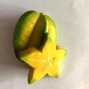 3D Fruit Fridge Magnet