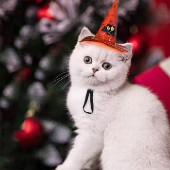 Funny Cat Halloween Headwear
