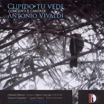 Cupido tu vedi